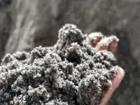 Cara Memilih Pasir yang Bagus untuk Bangunan Rumah